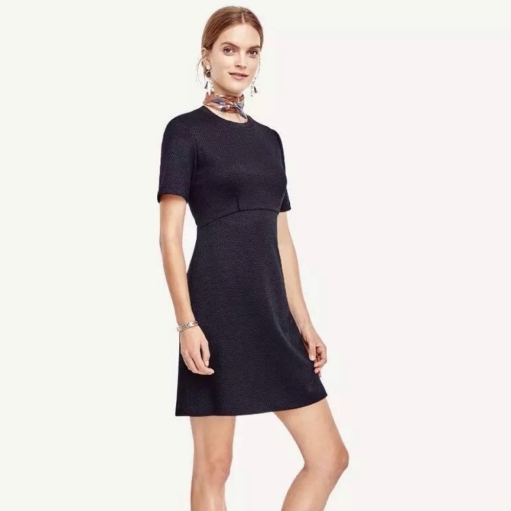 Ann Taylor Women's Size 2 Navy Blue Sheath Knee Length Dress